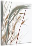 Dovido Tablou fire de iarbă minimaliste - 40x60