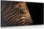 Dovido Tablou portretul zebrei - 150x100