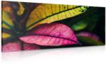 Dovido Tablou frunze rumede - 80x40