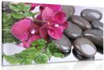 Dovido Tablou orhidee înfloritoare și pietre wellness - 40x30