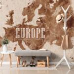 Dovido Tapet autoadeziv retro harta a Europei - 294x198