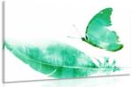 Dovido Tablou pană și fluture verde - 60x40