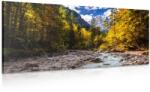 Dovido Tablou peisaj carpatin pitoresc - 140x70