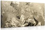 Dovido Tablou bujorii moderne pictate în design sepia - 30x20