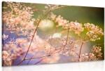 Dovido Tablou din flori natura moartă - 150x100