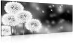 Dovido Tablou păpădie pufoasă în design alb-negru - 140x70