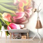 Dovido Fototapet buchet de lalele - 539x363