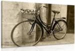 Dovido Tablou bicicletă rustică în design sepia - 120x80