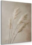 Dovido Tablou iarba uscată de pampas - 40x60