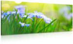 Dovido Tablou pajiște de flori primăvara - 200x100