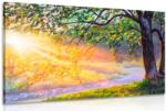 Dovido Tablou răsărit de soare în pădure - 150x100
