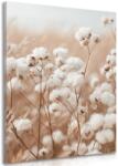 Dovido Tablou bumbacul în câmp - 80x120