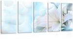 Dovido Tablou 5-piese floare albă de crin pe fundalul abstract - 100x50