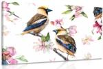 Dovido Tablou păsărele pe o ramură de copac - 150x100