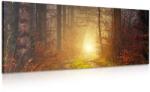 Dovido Tablou lumina în pădure - 80x40