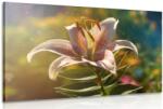 Dovido Tablou floare magnifică în stil retro - 90x60