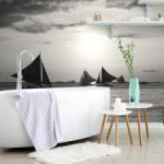 Dovido Fototapet autoadeziv apus de soare la mare în design alb-negru - 147x270