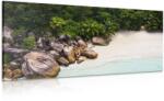 Dovido Tablou coastă Seychelles - 80x40