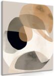 Dovido Tablou forme abstracte No2 - 40x60