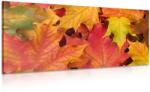 Dovido Tablou frunzele toamnei - 90x30
