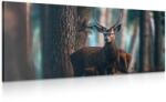 Dovido Tablou cerb în pădure - 120x60