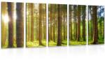 Dovido Tablou 5-piese dimineața în pădure - 100x50