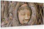Dovido Tablu Budha și smochinul sacru - 30x20