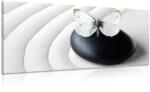 Dovido Tablou Zen piatră cu fluture - 120x60