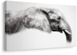 Dovido Tablou profil elegant de elefant - 60x40