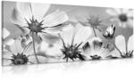 Dovido Tablou flori de grădină în design alb-negru - 100x50