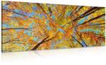 Dovido Tablou coroane a copaciilor toamna - 80x40