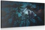 Dovido Tablou noaptea în pădure - 60x40