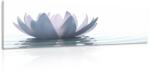 Dovido Tablou floare de lotus - 120x40