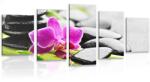 Dovido Tablou 5-piese natura moartă wellness cu orhidee violetă - 100x50