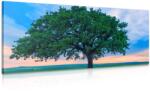 Dovido Tablou stejar singuratic - 100x50