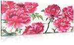 Dovido Tablou floare azalee - 60x30