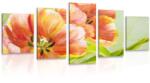 Dovido Tablou 5-piese lalele roșii în design vintage - 150x75