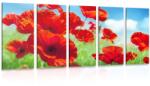 Dovido Tablou 5-piese flori de mac pe luncă - 200x100