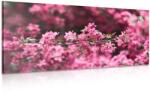 Dovido Tablou detalii flori de cires - 120x60