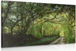 Dovido Tablou pădure de poveste - 120x80