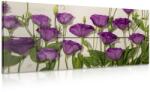 Dovido Tablou flori violete frumoase - 80x40
