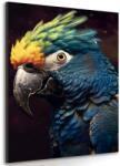 Dovido Tablou papagalul albastru-auriu - 80x120