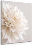 Dovido Tablou petale albe - 80x120