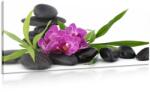 Dovido Tablou orhidee violetă în natura moartă Zen - 100x50