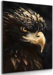 Dovido Tablou vultur negru-auriu - 40x60