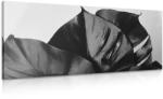 Dovido Tablou frunză de Philodendron alb-negru - 120x60