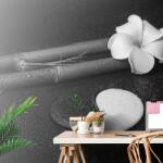 Dovido Fototapet autoadeziv natură moartă cu Yin și Yang în alb-negru - 294x270