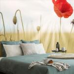 Dovido Tapet autoadeziv mac sălbatic - 441x297