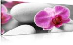 Dovido Tablou flori de orhidee pe pietre albe - 140x70