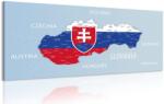Dovido Tablou hartă a Slovaciei cu stema și țările vecine - 120x60